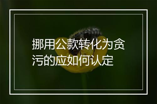 挪用公款转化为贪污的应如何认定
