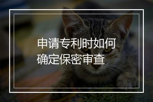 申请专利时如何确定保密审查