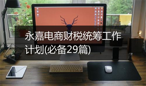 永嘉电商财税统筹工作计划(必备29篇)