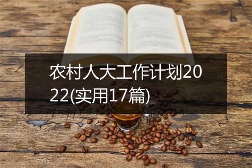 农村人大工作计划2022(实用17篇)