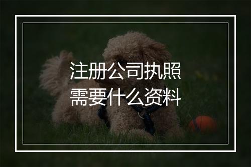 注册公司执照需要什么资料