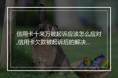 信用卡十来万被起诉应该怎么应对,信用卡欠款被起诉后的解决方案