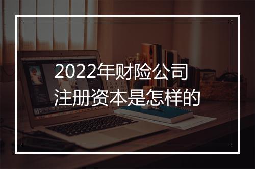 2022年财险公司注册资本是怎样的