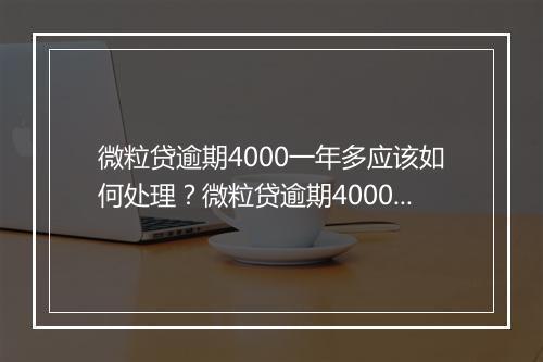 微粒贷逾期4000一年多应该如何处理？微粒贷逾期4000元的后果有哪些？