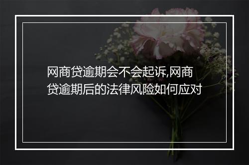 网商贷逾期会不会起诉,网商贷逾期后的法律风险如何应对