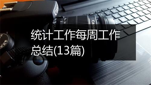 统计工作每周工作总结(13篇)
