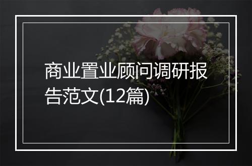 商业置业顾问调研报告范文(12篇)