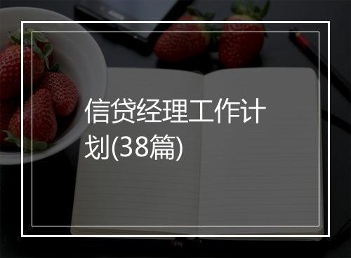 信贷经理工作计划(38篇)