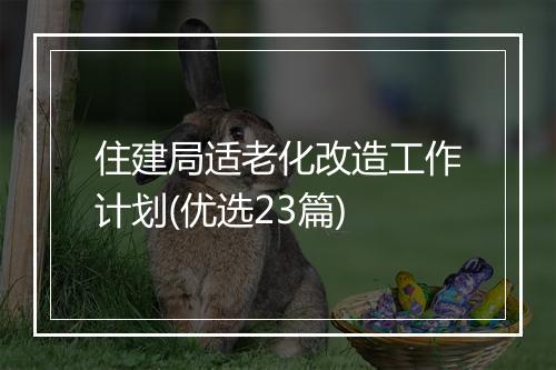 住建局适老化改造工作计划(优选23篇)