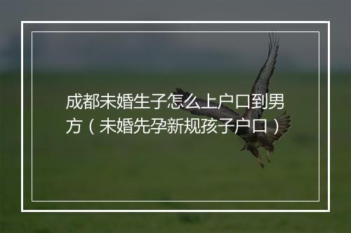 成都未婚生子怎么上户口到男方（未婚先孕新规孩子户口）