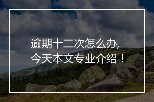 逾期十二次怎么办,今天本文专业介绍！