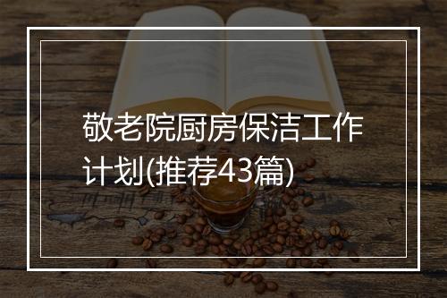 敬老院厨房保洁工作计划(推荐43篇)
