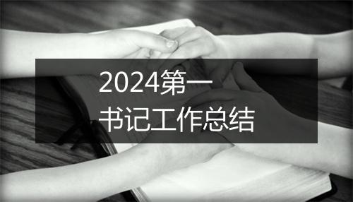 2024第一书记工作总结