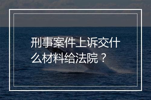 刑事案件上诉交什么材料给法院？