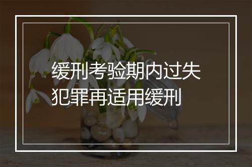 缓刑考验期内过失犯罪再适用缓刑