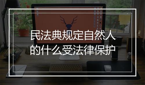 民法典规定自然人的什么受法律保护
