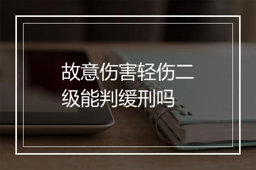 故意伤害轻伤二级能判缓刑吗