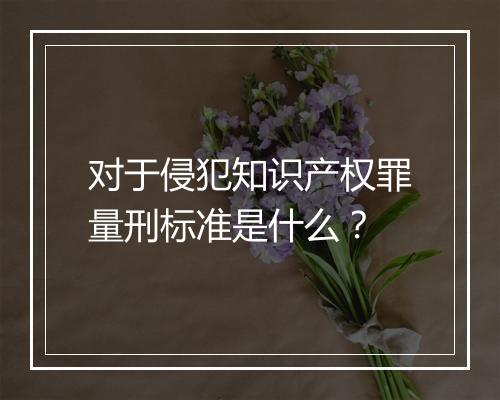 对于侵犯知识产权罪量刑标准是什么？