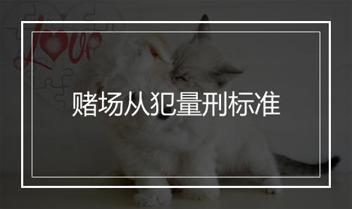 赌场从犯量刑标准