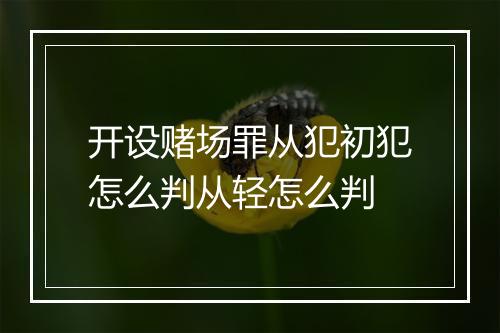 开设赌场罪从犯初犯怎么判从轻怎么判