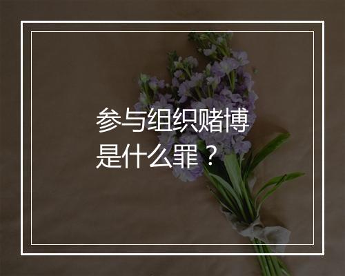 参与组织赌博是什么罪？