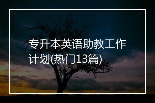专升本英语助教工作计划(热门13篇)
