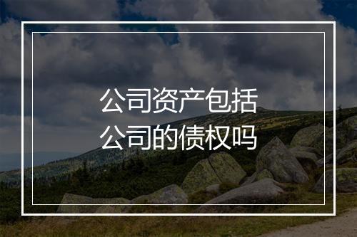 公司资产包括公司的债权吗