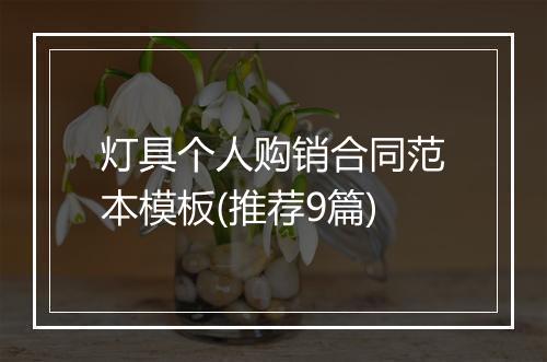 灯具个人购销合同范本模板(推荐9篇)