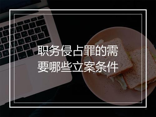 职务侵占罪的需要哪些立案条件