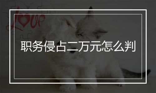 职务侵占二万元怎么判