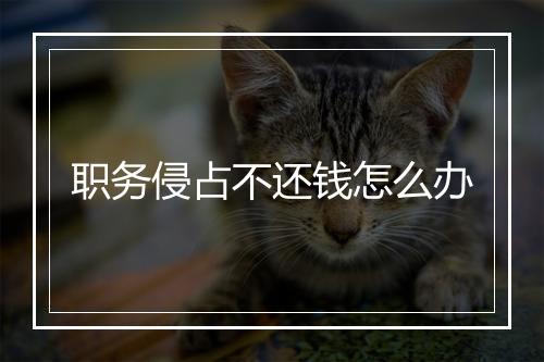 职务侵占不还钱怎么办