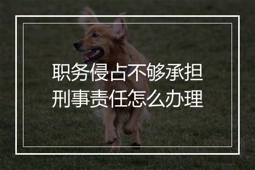 职务侵占不够承担刑事责任怎么办理
