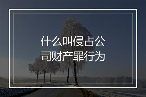什么叫侵占公司财产罪行为