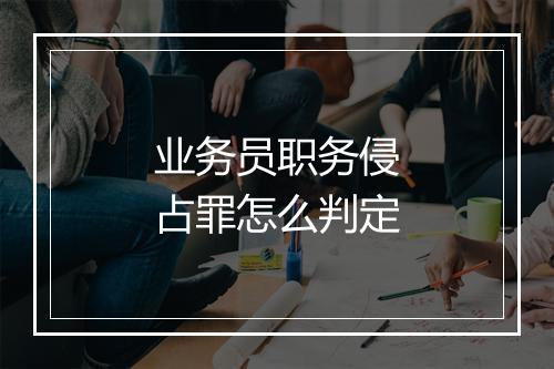 业务员职务侵占罪怎么判定