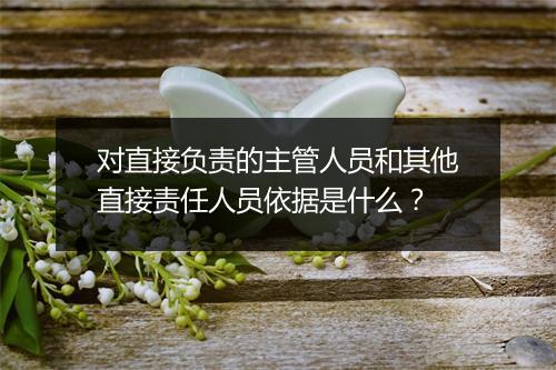 对直接负责的主管人员和其他直接责任人员依据是什么？