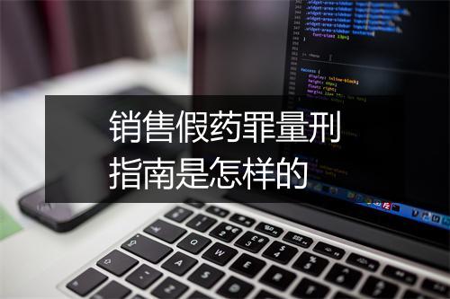 销售假药罪量刑指南是怎样的