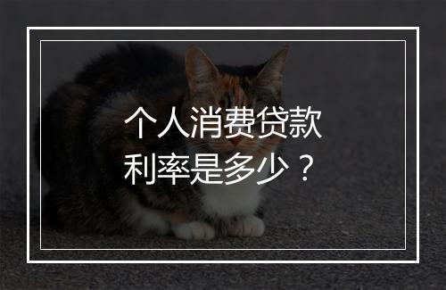 个人消费贷款利率是多少？