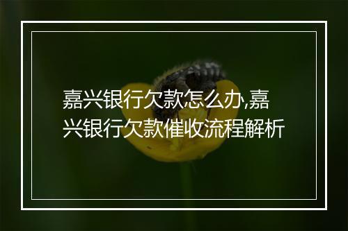 嘉兴银行欠款怎么办,嘉兴银行欠款催收流程解析