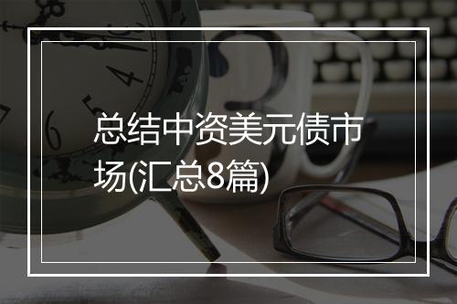 总结中资美元债市场(汇总8篇)