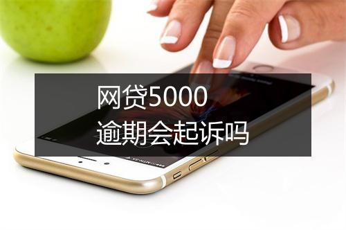 网贷5000逾期会起诉吗