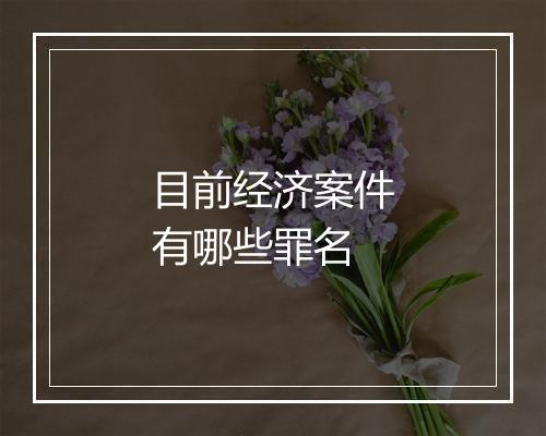 目前经济案件有哪些罪名