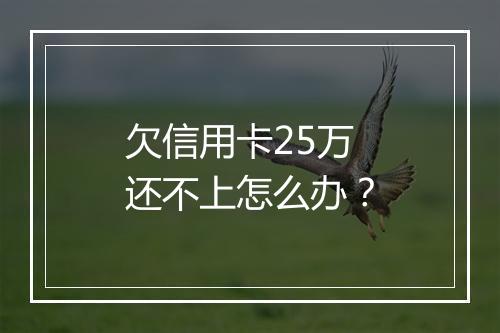 欠信用卡25万还不上怎么办？