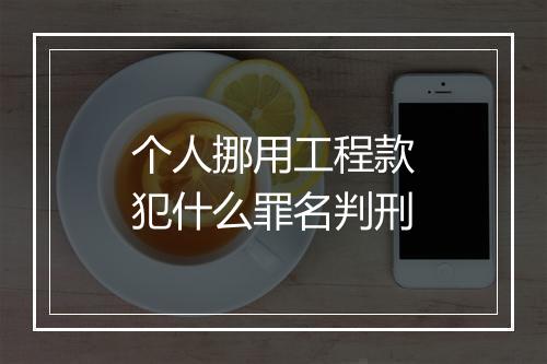 个人挪用工程款犯什么罪名判刑