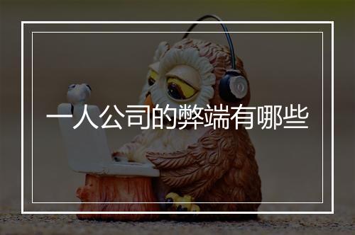 一人公司的弊端有哪些