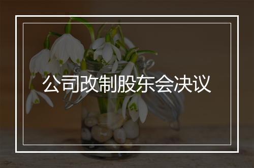 公司改制股东会决议