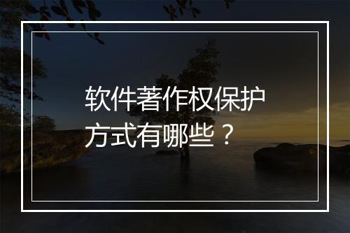 软件著作权保护方式有哪些？