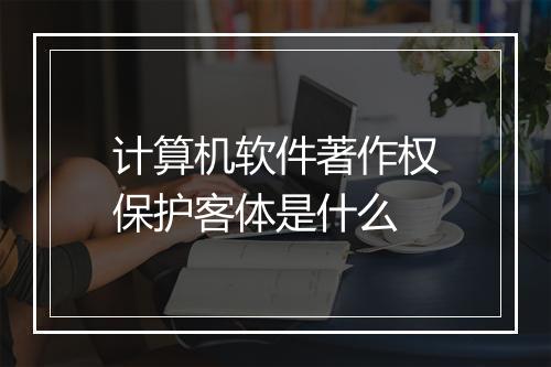 计算机软件著作权保护客体是什么