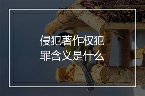 侵犯著作权犯罪含义是什么