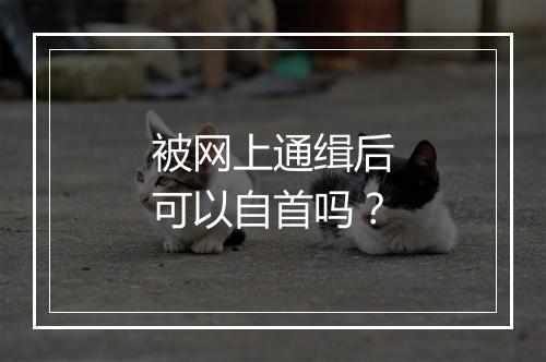 被网上通缉后可以自首吗？