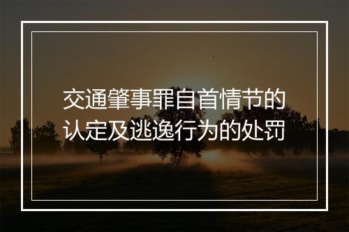 交通肇事罪自首情节的认定及逃逸行为的处罚